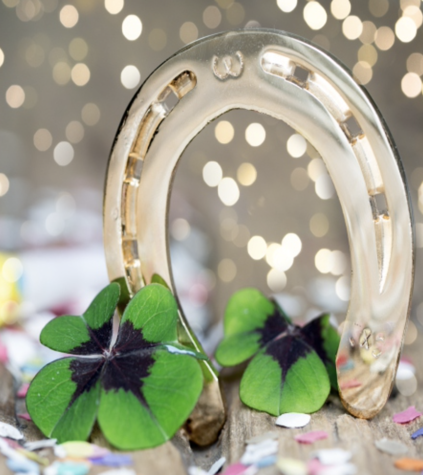 Bildschirmfoto 2025-12-08 um 11.22.28