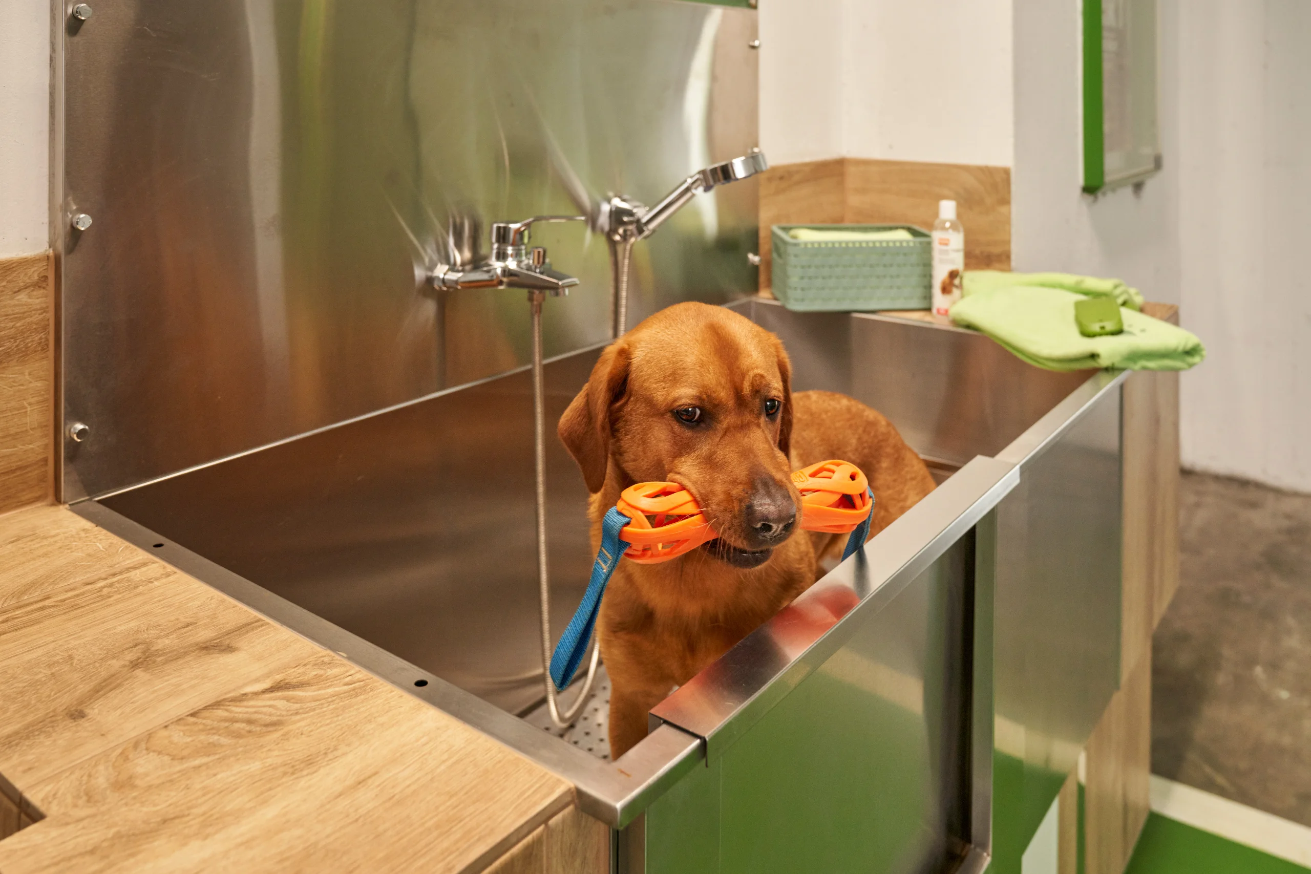 Neo Hotel DSC07363-2560x1707